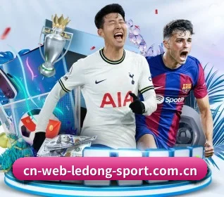 五大服务分区,信息按项目分类